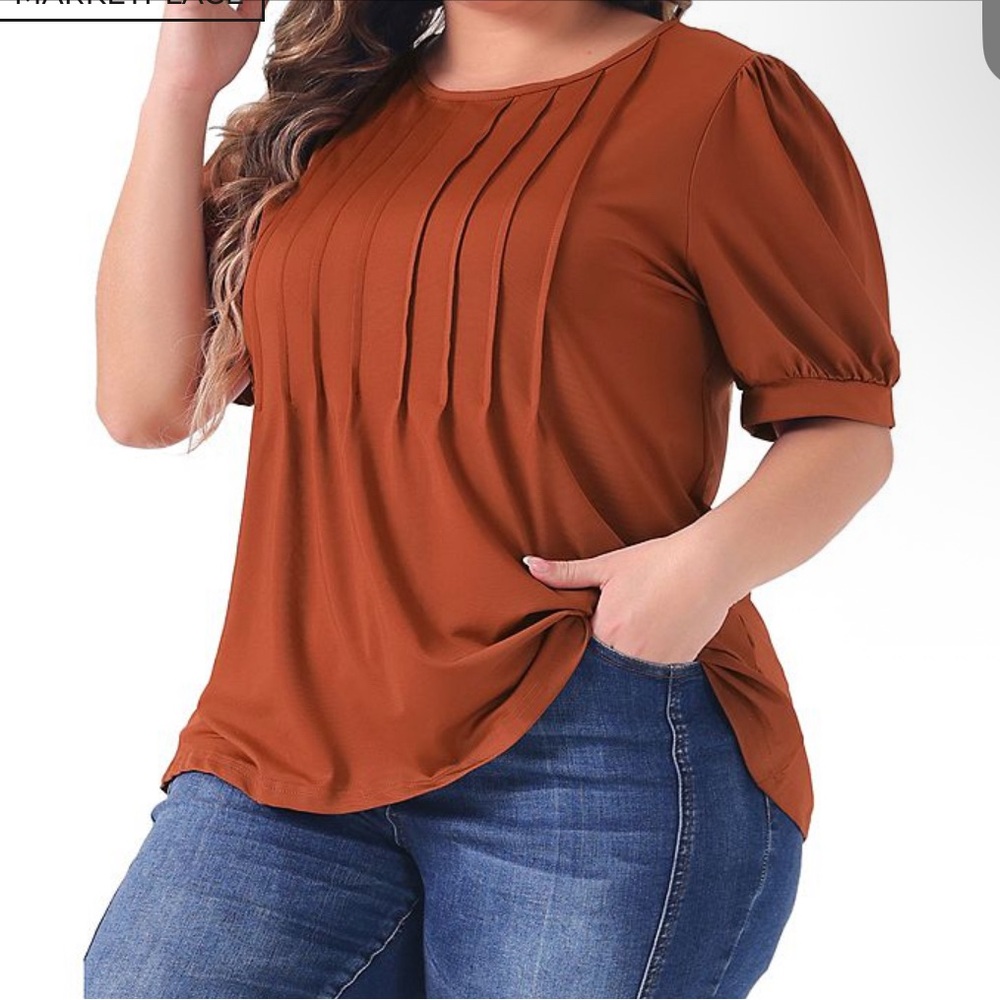 Agnes Orinda Crew Neck Pleated Tunic Blouse